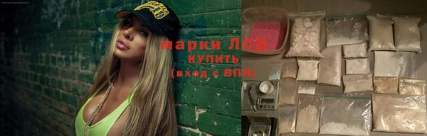 ПСИЛОЦИБИНОВЫЕ ГРИБЫ Медногорск