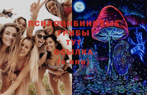 амф Мегион