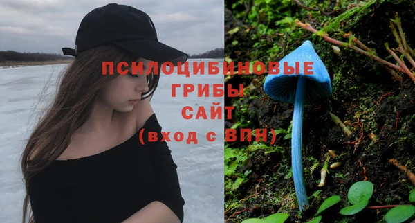 амф Мегион
