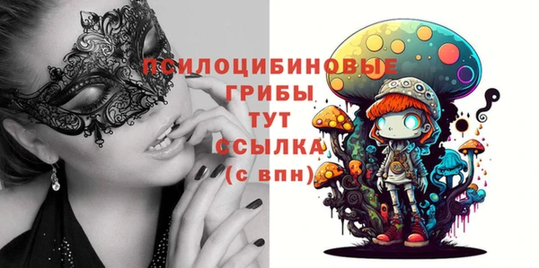 амф Мегион