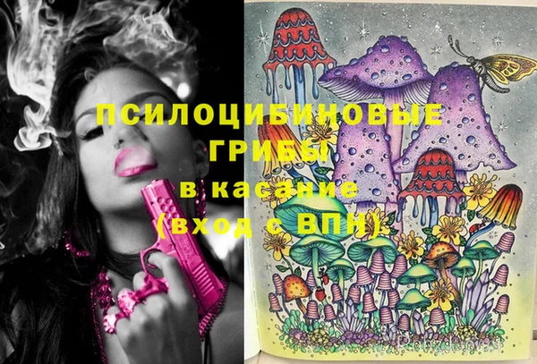 ПСИЛОЦИБИНОВЫЕ ГРИБЫ Медногорск