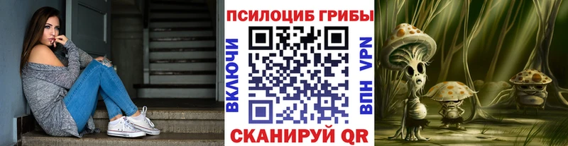 Псилоцибиновые грибы Magic Shrooms  Южно-Сухокумск 