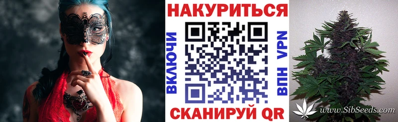 даркнет сайт  Южно-Сухокумск  Бошки марихуана сатива 